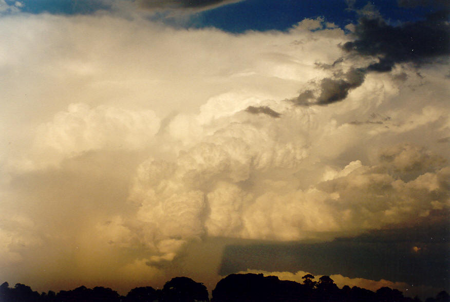 thunderstorm cumulonimbus_incus : McLeans Ridges, NSW   28 January 2004