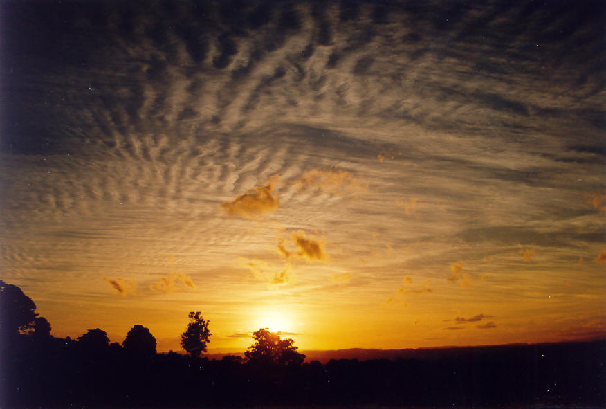altocumulus undulatus : McLeans Ridges, NSW   19 May 2004