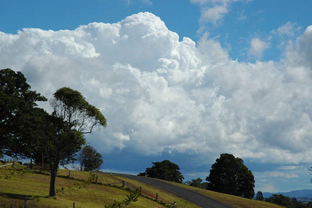 thunderstorm cumulonimbus_calvus : McLeans Ridges, NSW   18 August 2004
