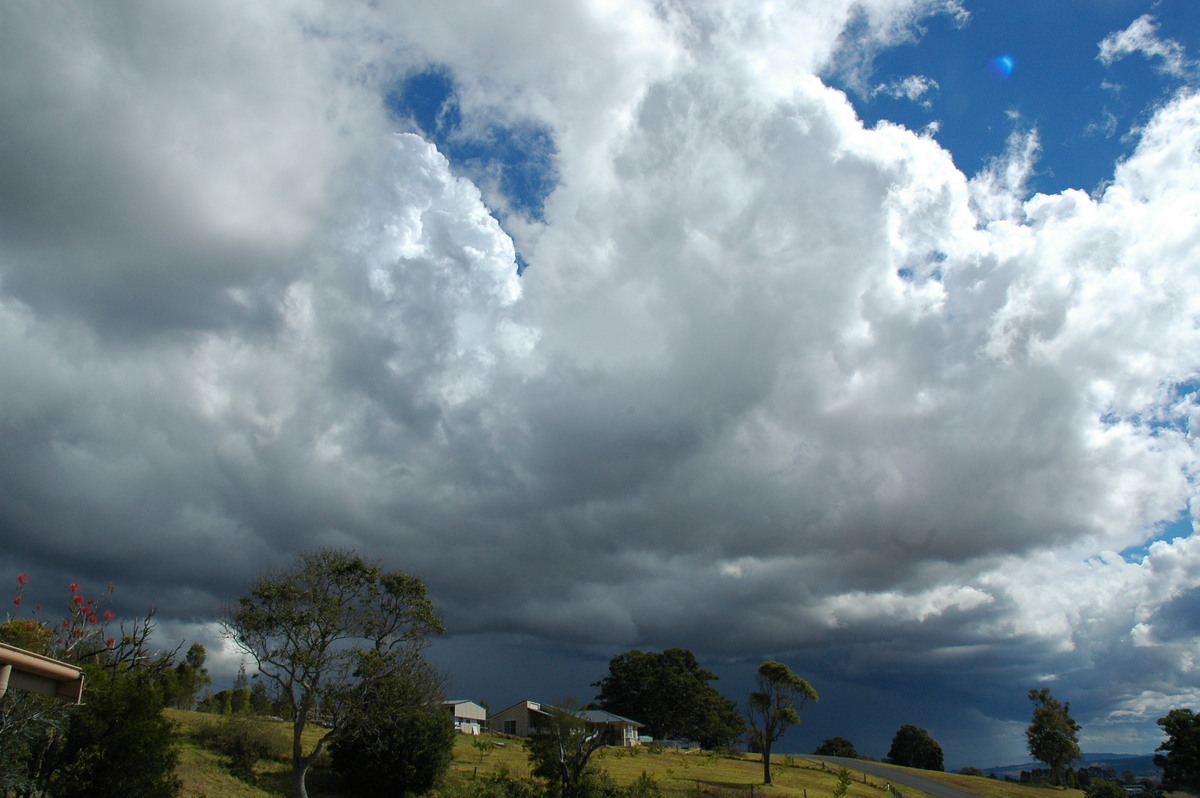 thunderstorm cumulonimbus_calvus : McLeans Ridges, NSW   18 August 2004