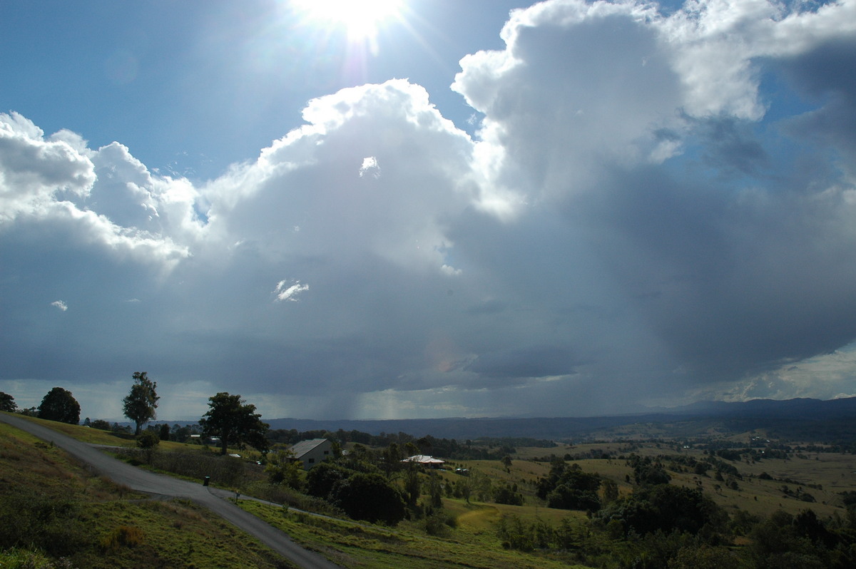 thunderstorm cumulonimbus_calvus : McLeans Ridges, NSW   4 September 2004