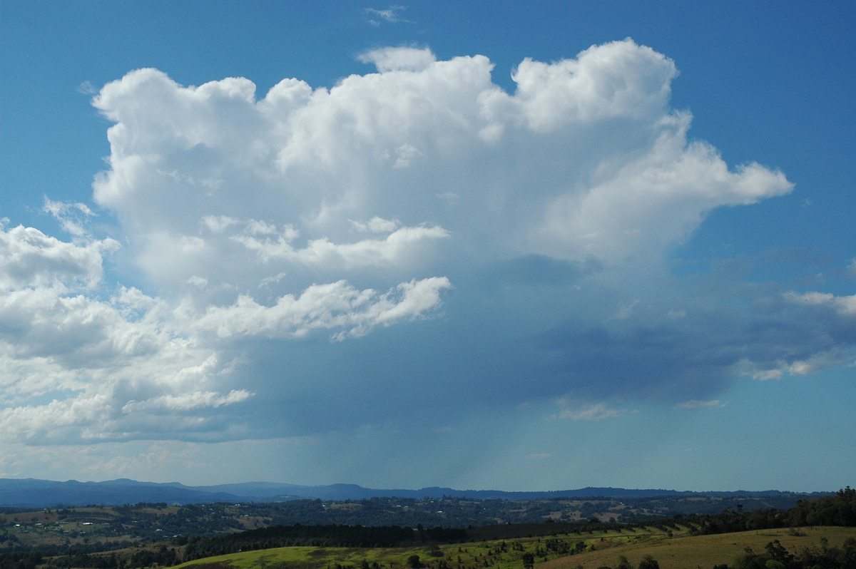 thunderstorm cumulonimbus_calvus : McLeans Ridges, NSW   5 September 2004