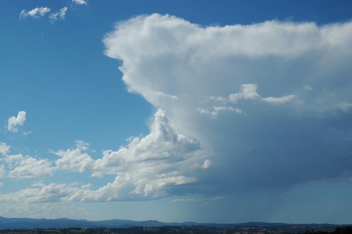 thunderstorm cumulonimbus_calvus : McLeans Ridges, NSW   5 September 2004