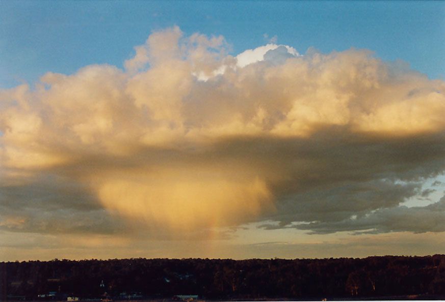 thunderstorm cumulonimbus_calvus : Schofields, NSW   9 September 2004