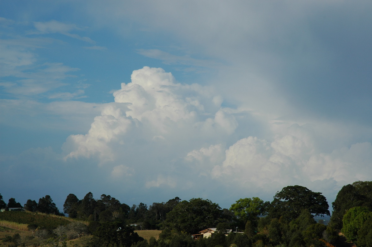 thunderstorm cumulonimbus_calvus : McLeans Ridges, NSW   20 September 2004