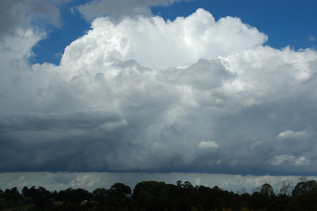 thunderstorm cumulonimbus_calvus : McLeans Ridges, NSW   21 October 2004