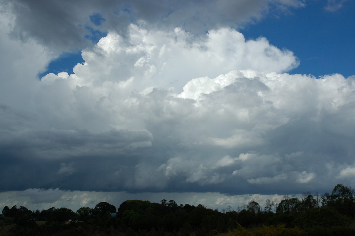 thunderstorm cumulonimbus_calvus : McLeans Ridges, NSW   21 October 2004
