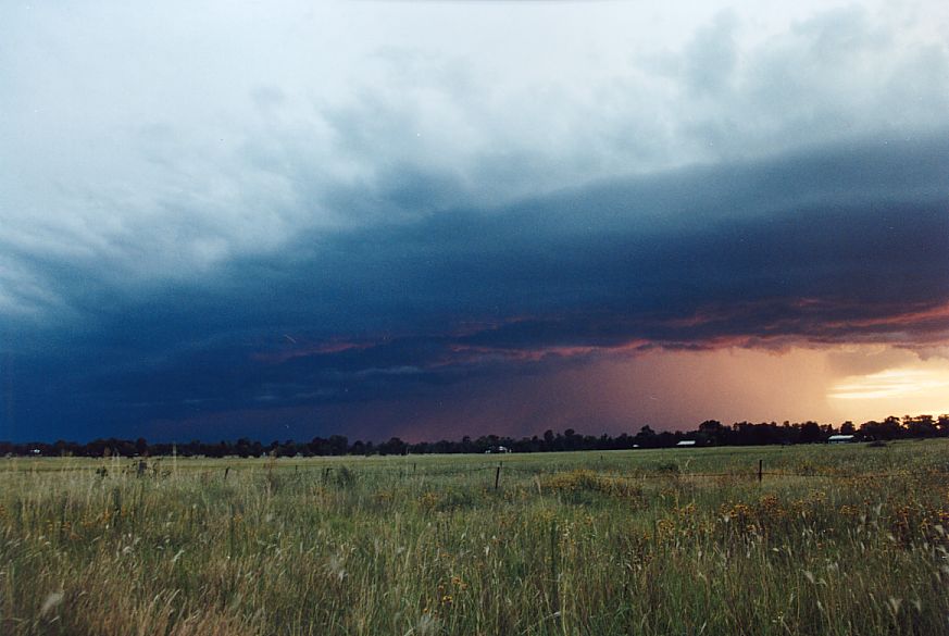 raincascade precipitation_cascade : Narrabri, NSW   24 December 2004