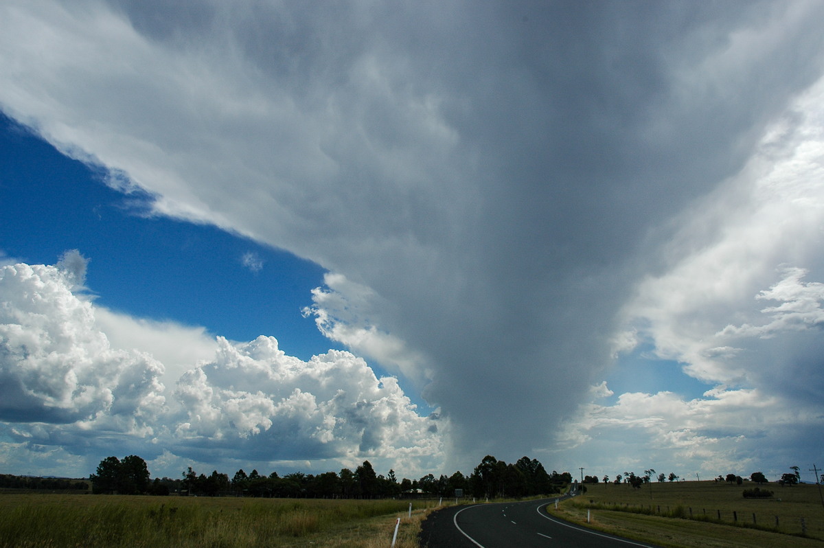 anvil thunderstorm_anvils : Casino, NSW   10 March 2005