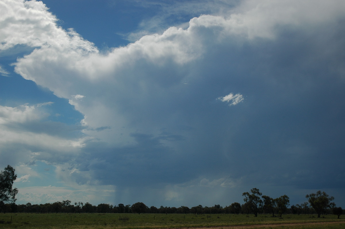thunderstorm cumulonimbus_incus : Collarenabri, NSW   26 November 2005