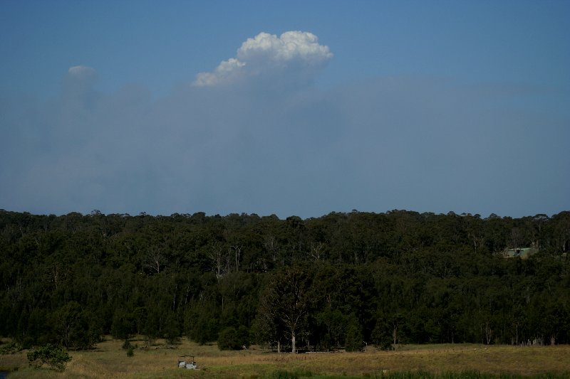 bushfire wild_fire : Schofields, NSW   1 January 2006