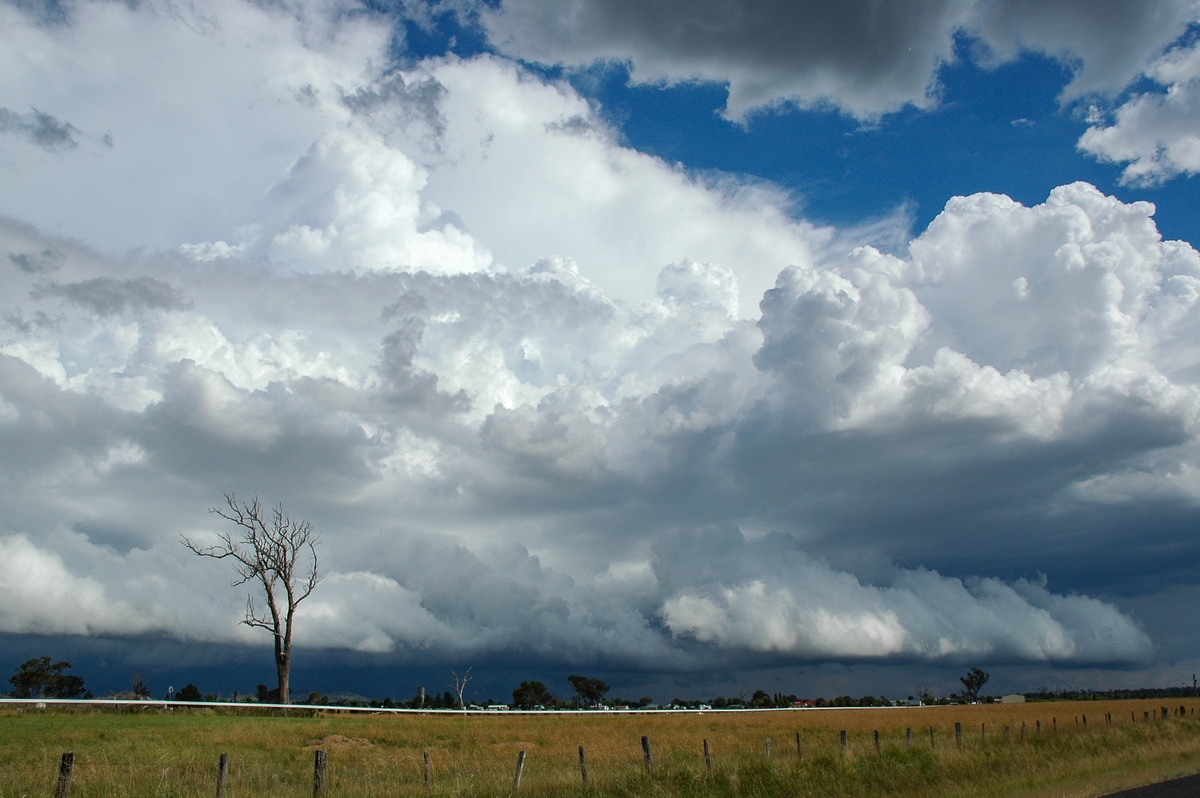 thunderstorm cumulonimbus_incus : Deepwater, NSW   4 February 2006