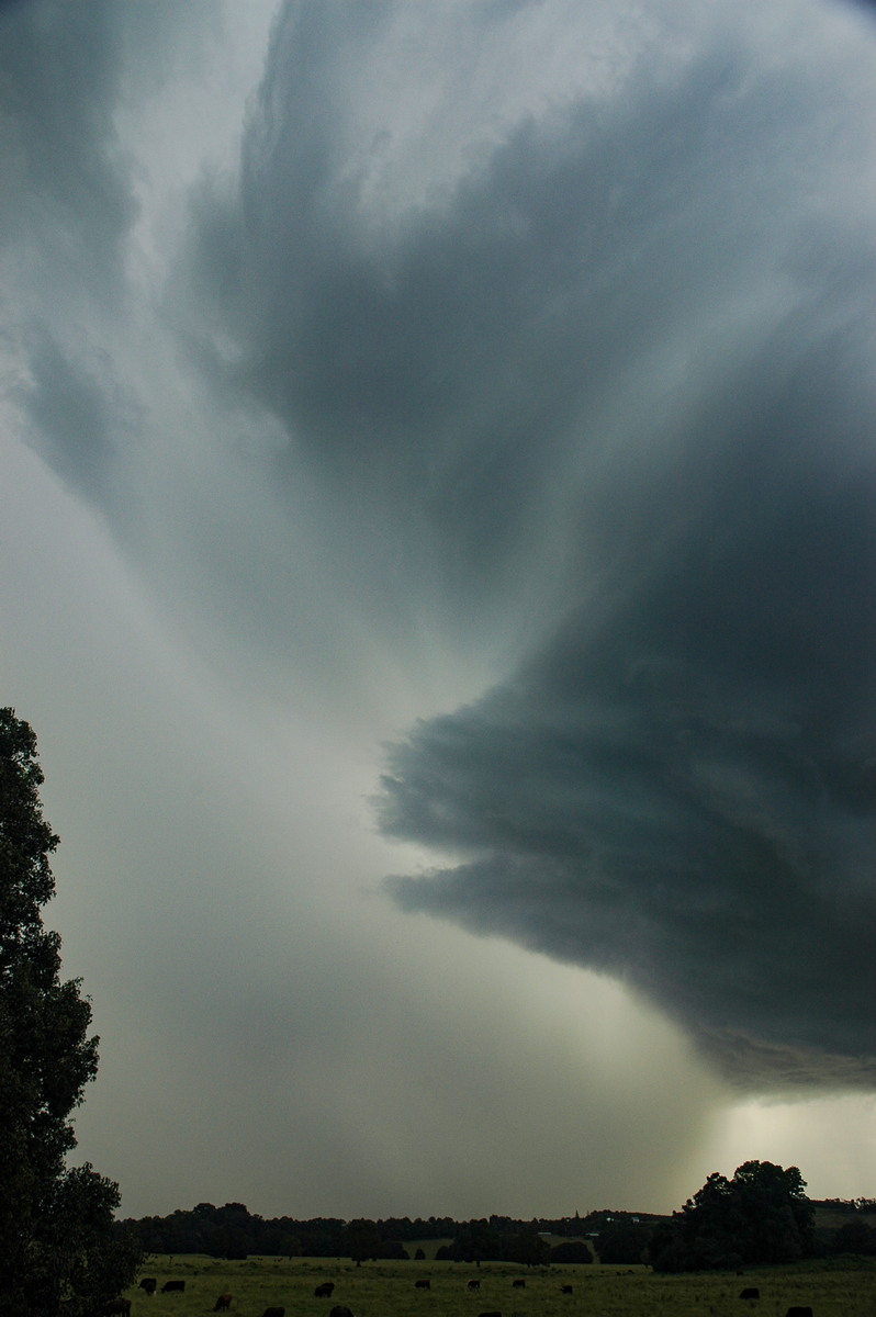 updraft thunderstorm_updrafts : Clunes, NSW   4 April 2006