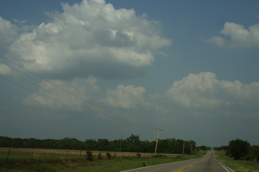 cumulus mediocris : McAlester, Oklahoma, USA   9 May 2006