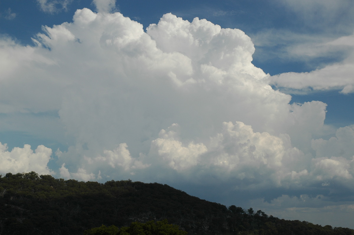 thunderstorm cumulonimbus_calvus : Tenterfield, NSW   12 January 2007