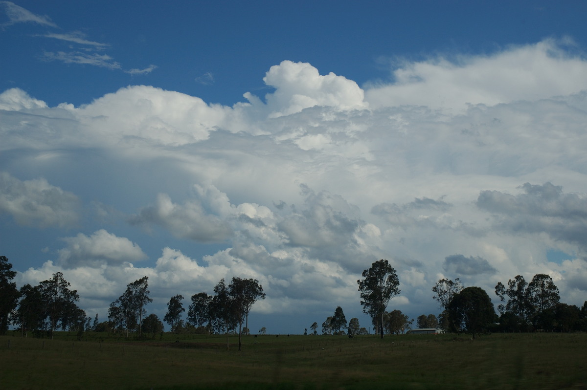thunderstorm cumulonimbus_calvus : near Grafton, NSW   26 January 2007