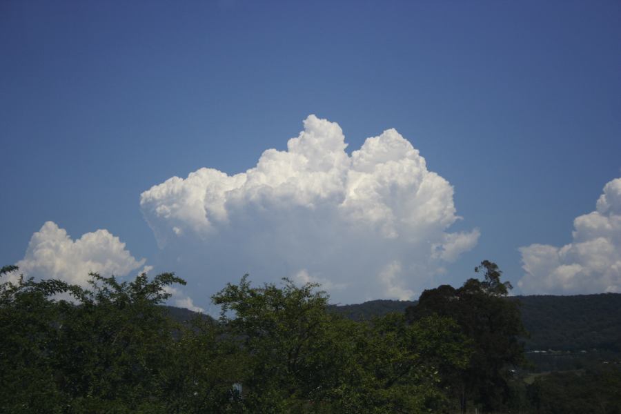 thunderstorm cumulonimbus_calvus : Kurrajong, NSW   3 February 2007