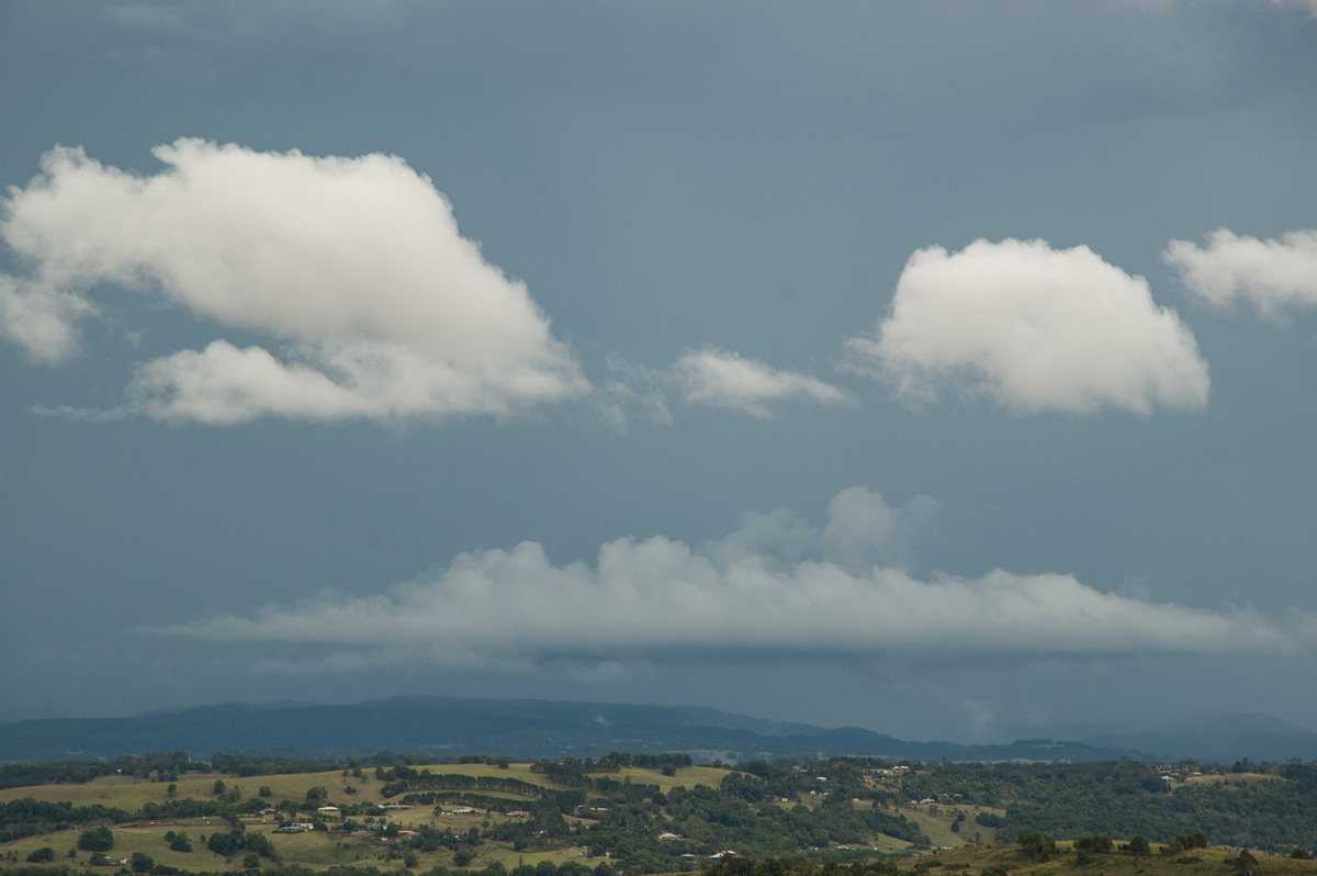 cumulus humilis : McLeans Ridges, NSW   12 February 2007