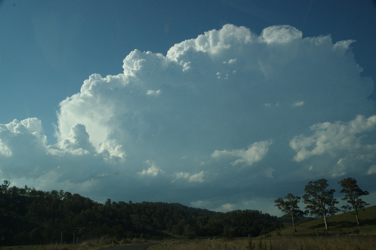 thunderstorm cumulonimbus_calvus : Border Ranges, NSW   6 October 2007