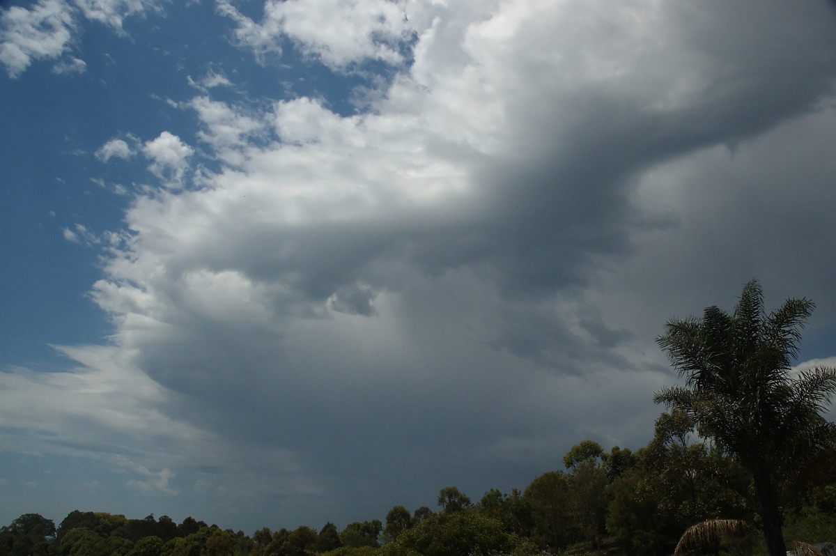 raincascade precipitation_cascade : McLeans Ridges, NSW   9 October 2007