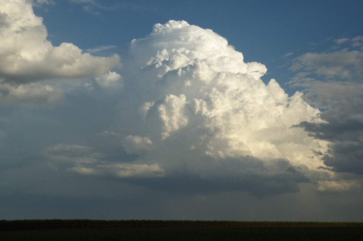 thunderstorm cumulonimbus_calvus : near Wardell, NSW   4 November 2007