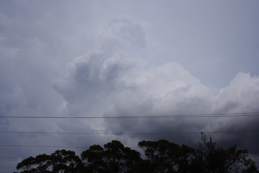 updraft thunderstorm_updrafts : Bilpin, NSW   21 November 2007