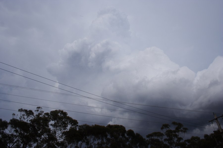 updraft thunderstorm_updrafts : Bilpin, NSW   21 November 2007