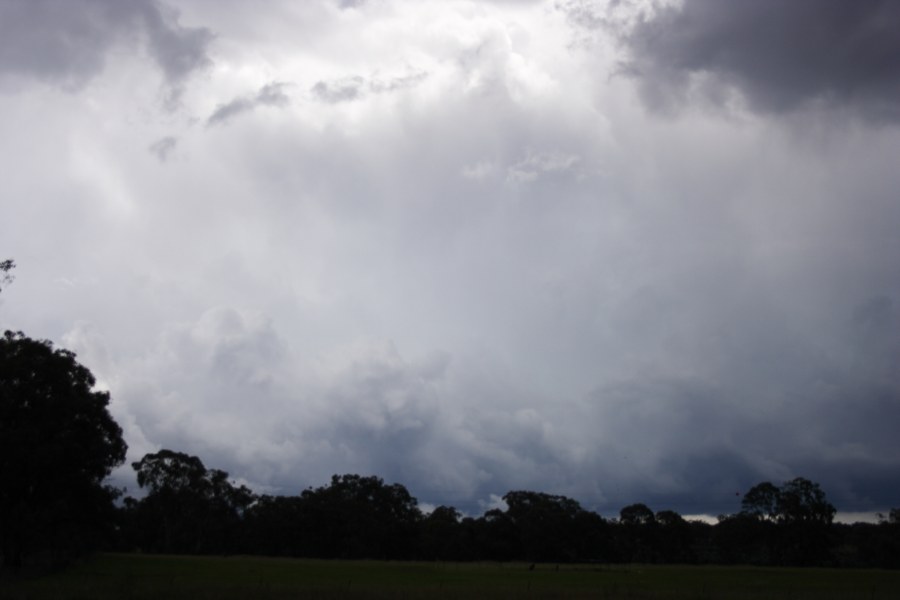 updraft thunderstorm_updrafts : Inverell, NSW   23 November 2007
