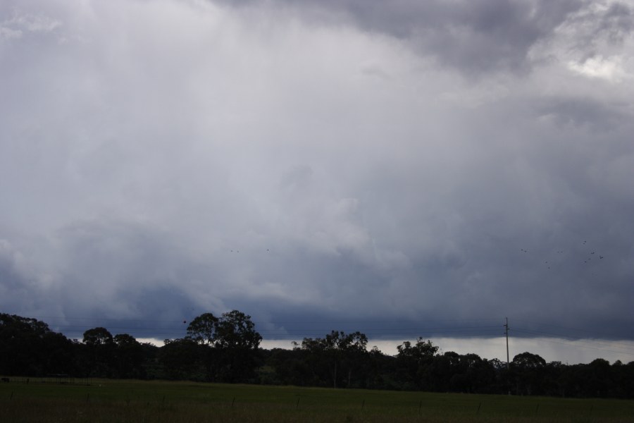 updraft thunderstorm_updrafts : Inverell, NSW   23 November 2007