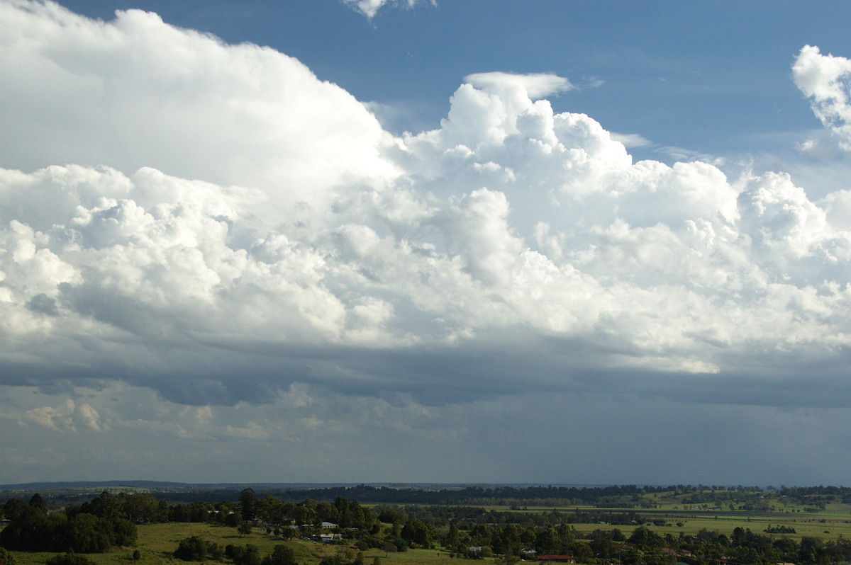 thunderstorm cumulonimbus_calvus : Tregeagle, NSW   26 March 2008