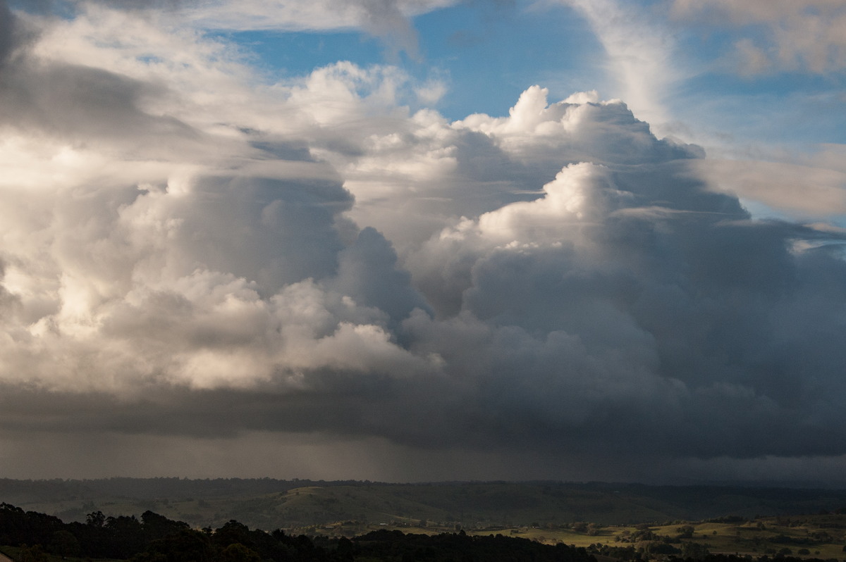 thunderstorm cumulonimbus_calvus : McLeans Ridges, NSW   12 November 2008