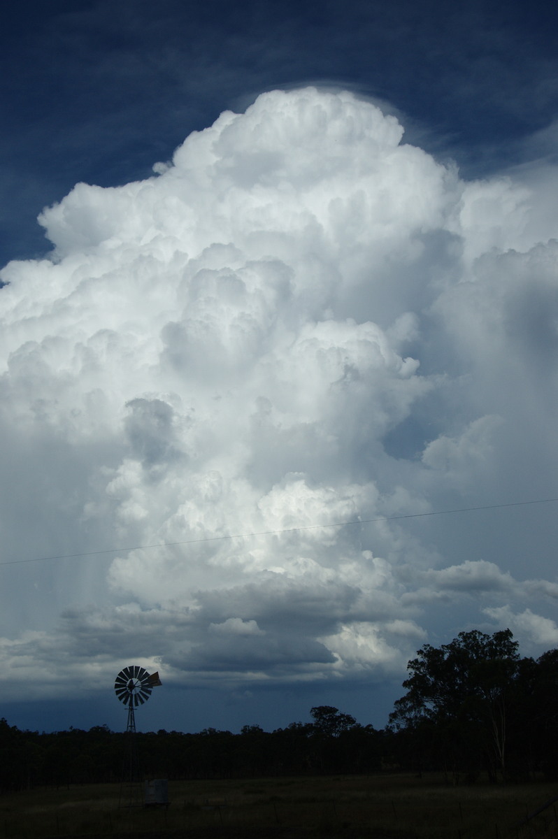 updraft thunderstorm_updrafts : near Warwick, QLD   24 January 2009