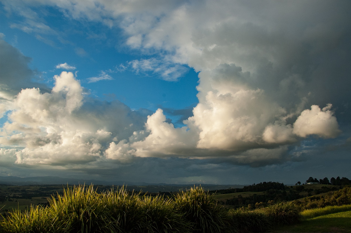cumulus mediocris : McLeans Ridges, NSW   3 May 2009