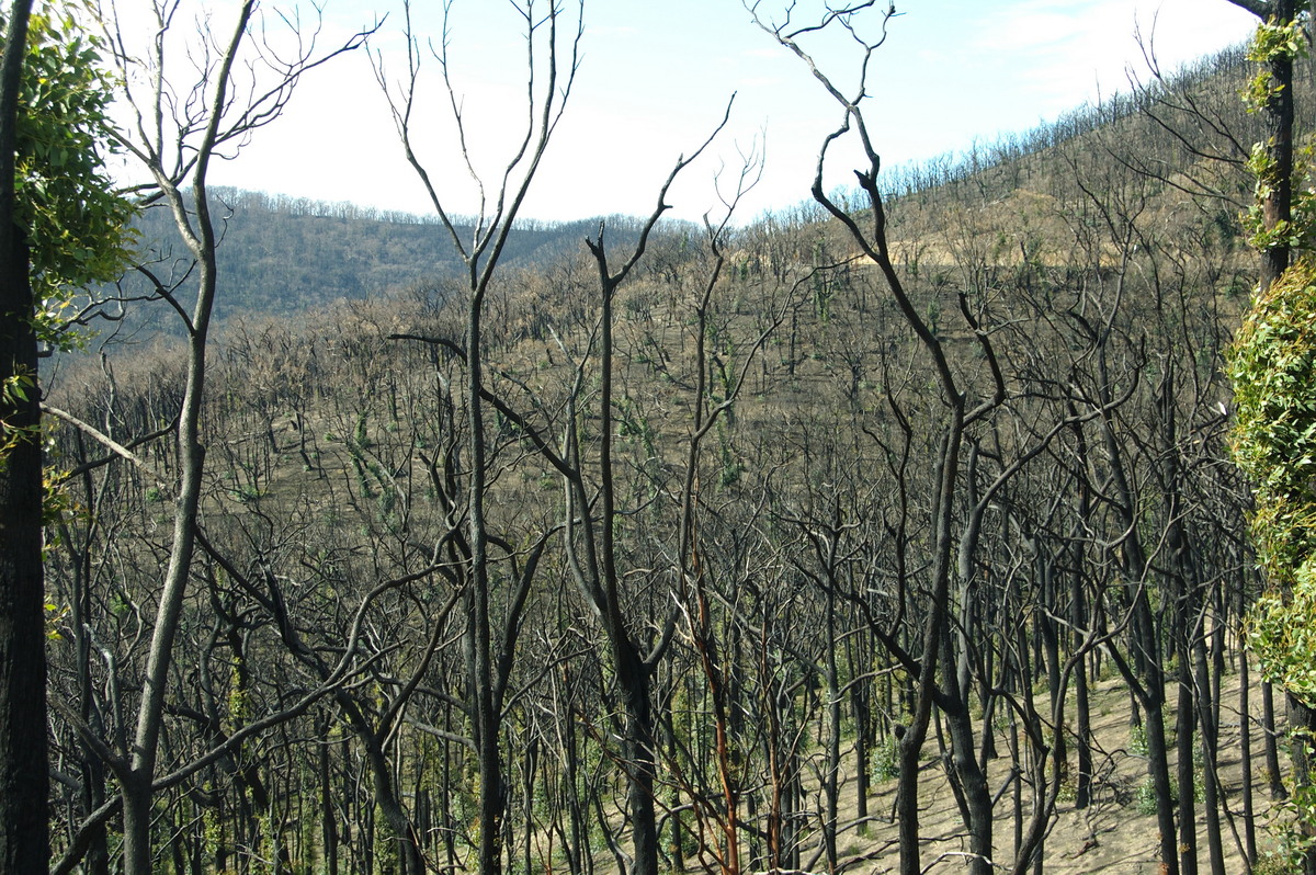 bushfire wild_fire : Kinglake, VIC   20 August 2009