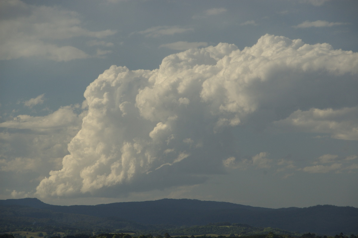 thunderstorm cumulonimbus_calvus : McLeans Ridges, NSW   8 September 2009
