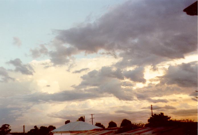 cumulus mediocris : Schofields, NSW   12 April 1990