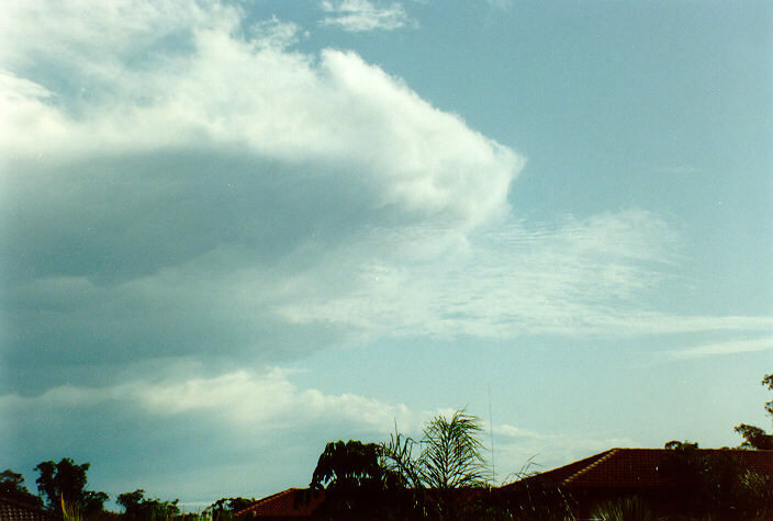 anvil thunderstorm_anvils : Oakhurst, NSW   16 November 1991