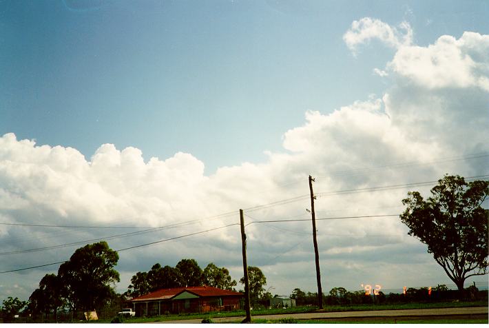 cumulus mediocris : Schofields, NSW   1 January 1992