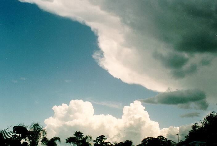 anvil thunderstorm_anvils : Ballina, NSW   5 December 1992
