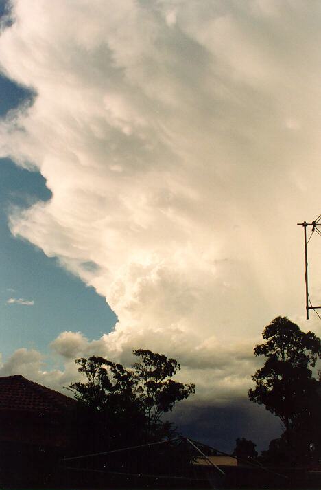 anvil thunderstorm_anvils : Oakhurst, NSW   28 March 1993