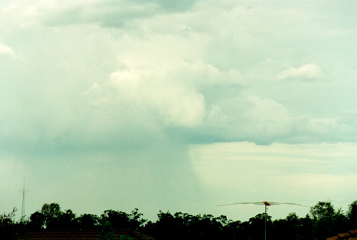 cumulus mediocris : Oakhurst, NSW   23 October 1993