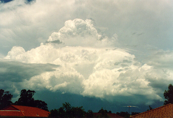 pileus pileus_cap_cloud : Oakhurst, NSW   4 December 1993