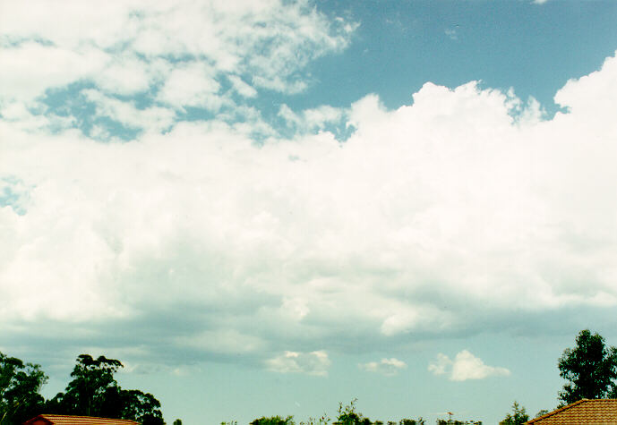 cumulus mediocris : Oakhurst, NSW   6 February 1994