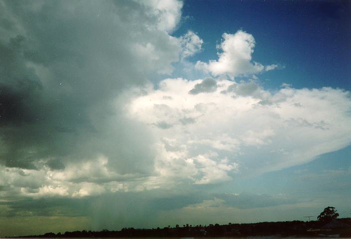 anvil thunderstorm_anvils : Schofields, NSW   13 September 1994