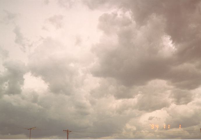 cumulus mediocris : Schofields, NSW   1 November 1994