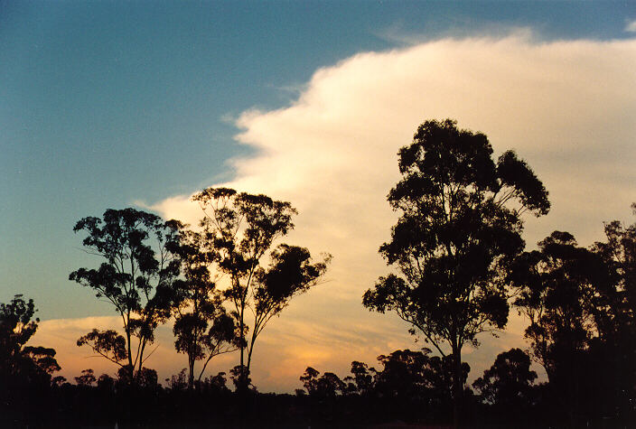anvil thunderstorm_anvils : Oakhurst, NSW   20 November 1994