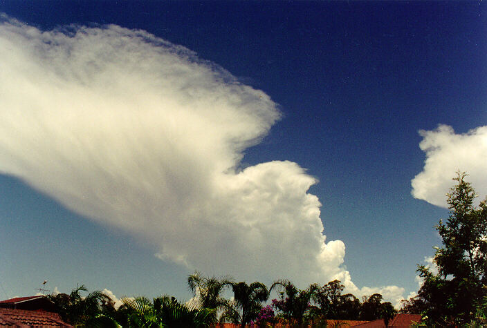 anvil thunderstorm_anvils : Oakhurst, NSW   26 November 1994