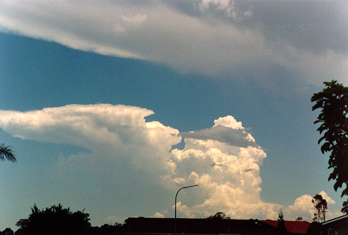 anvil thunderstorm_anvils : Oakhurst, NSW   26 November 1994