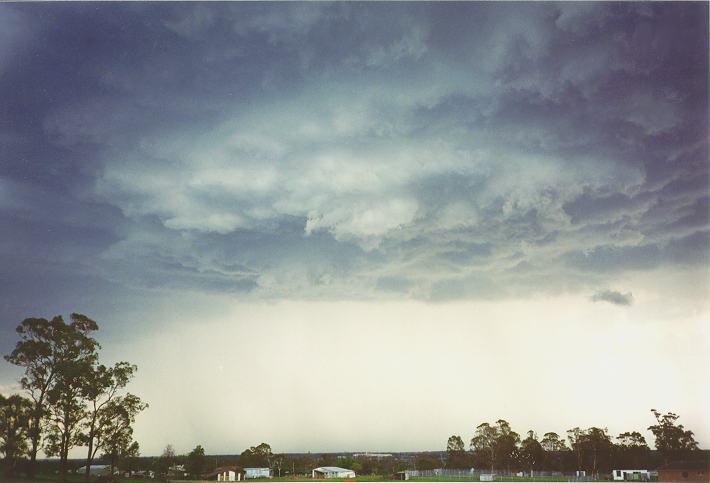wallcloud thunderstorm_wall_cloud : Schofields, NSW   1 January 1995