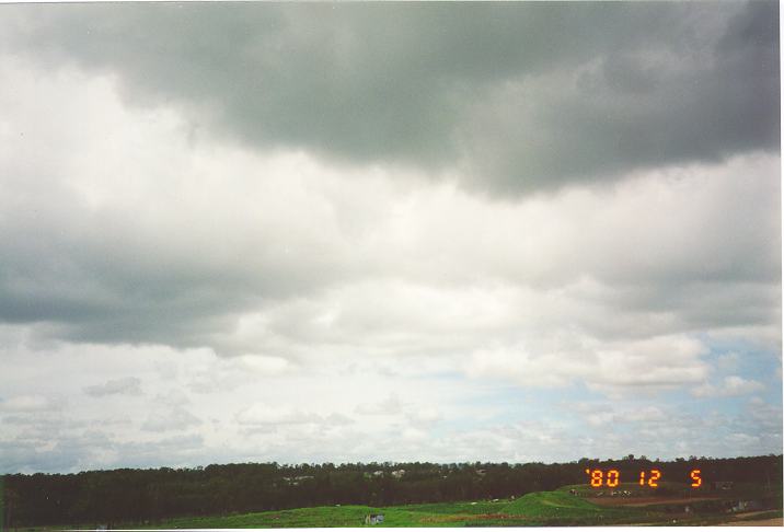 cumulus mediocris : Schofields, NSW   11 January 1995